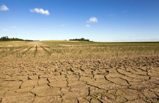 La commune est reconnue en état de catastrophe naturelle pour la sécheresse de 2019